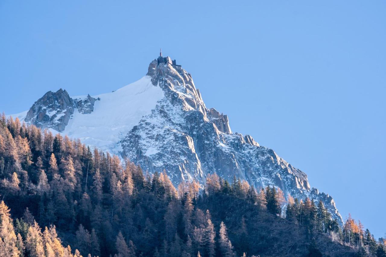 Chamonix Sud Studio With Mont Blanc Views المظهر الخارجي الصورة