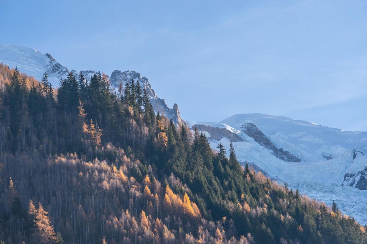 Chamonix Sud Studio With Mont Blanc Views المظهر الخارجي الصورة